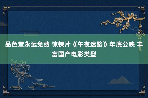 品色堂永远免费 惊悚片《午夜迷路》年底公映 丰富国产电影类型