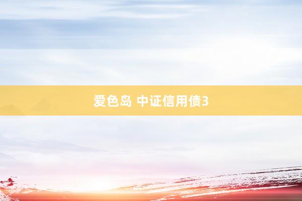 爱色岛 中证信用债3