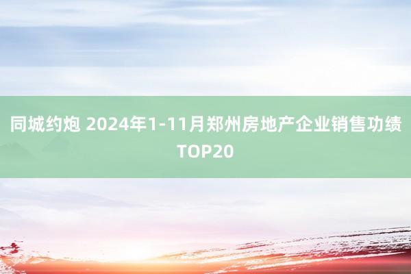 同城约炮 2024年1-11月郑州房地产企业销售功绩TOP20