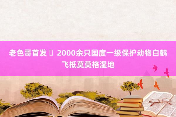老色哥首发 ​2000余只国度一级保护动物白鹤飞抵莫莫格湿地