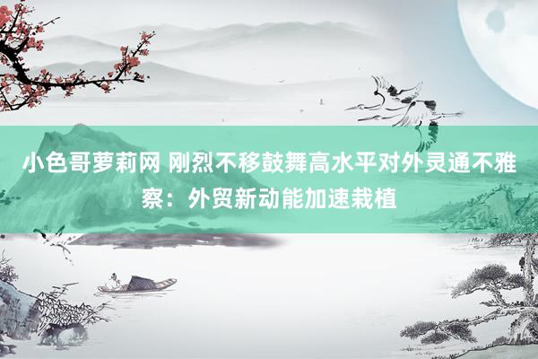 小色哥萝莉网 刚烈不移鼓舞高水平对外灵通不雅察：外贸新动能加速栽植
