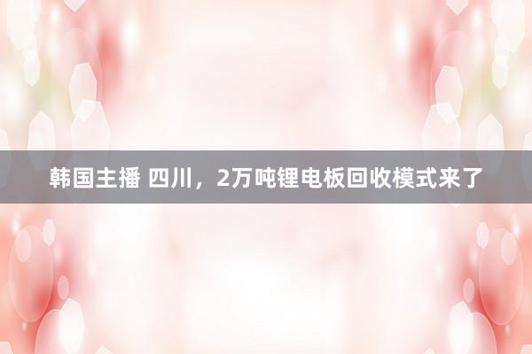 韩国主播 四川，2万吨锂电板回收模式来了