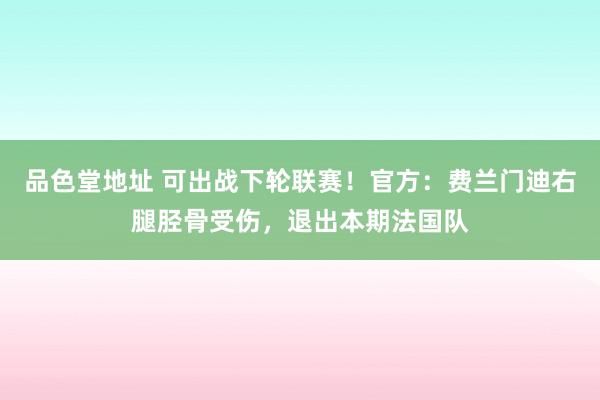 品色堂地址 可出战下轮联赛！官方：费兰门迪右腿胫骨受伤，退出本期法国队