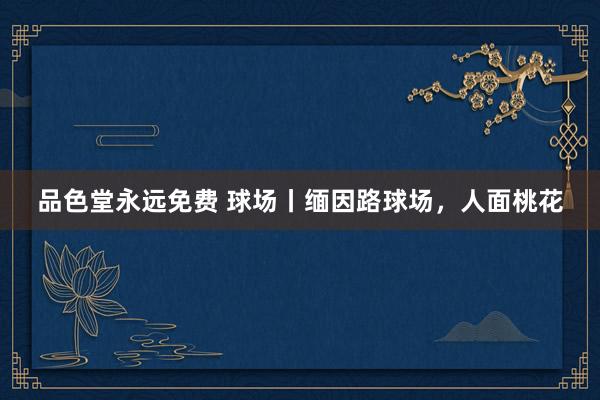 品色堂永远免费 球场丨缅因路球场，人面桃花