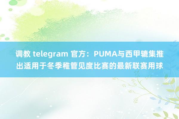调教 telegram 官方：PUMA与西甲辘集推出适用于冬季稚管见度比赛的最新联赛用球