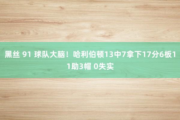 黑丝 91 球队大脑！哈利伯顿13中7拿下17分6板11助3帽 0失实